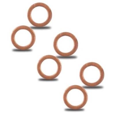 Brakes - Calipers and Caliper Bolts  - AFCO - AFCO  7010-0037  10mm Copper Crush Washer Kit