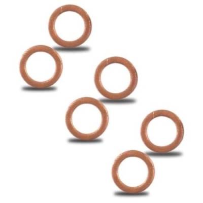 AFCO  7010-0037  10mm Copper Crush Washer Kit