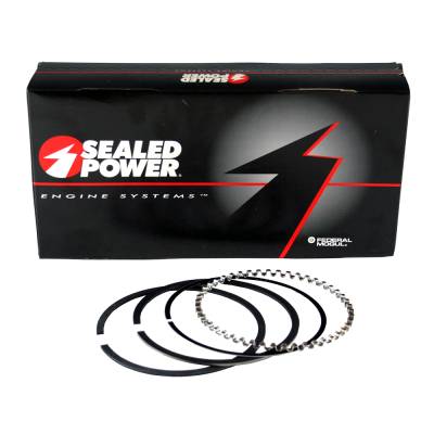 Speed Pro - 4.030" Bore 5/64"-3/16" Moly standard fit piston rings - Image 4