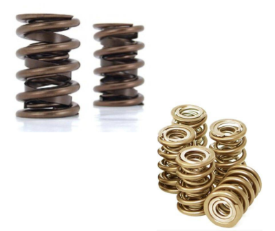 Valve Springs