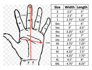 Velocita - WHITE Velocita Skeleton 2 Layer Racing Gloves XXSmall - Image 2