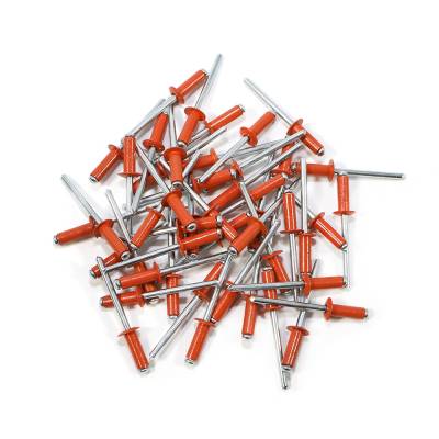 Assault Racing Products  SMALL HEAD Rivets - Orange
