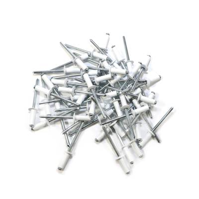Assault Racing Products  SMALL HEAD Rivets - White