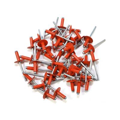 Assault Racing Products LARGE HEAD Rivets - Orange