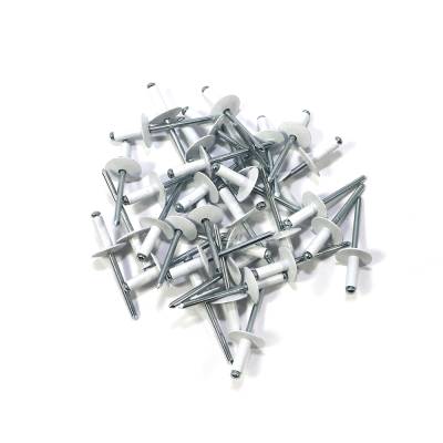 Assault Racing Products LARGE HEAD Rivets - White
